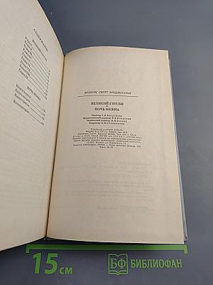 Великий Гэтсби. Ночь нежна