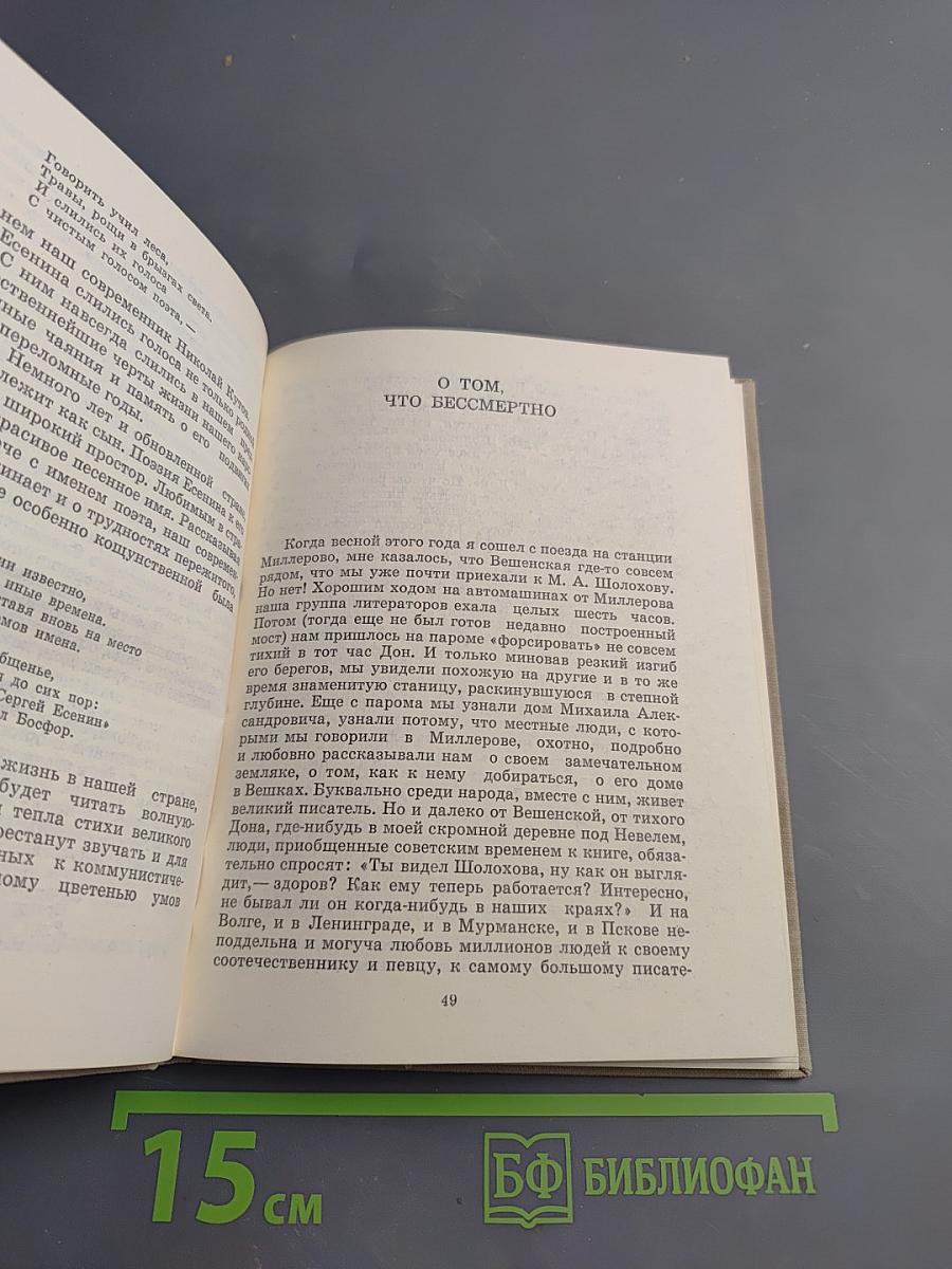 Перед лицом Пушкина