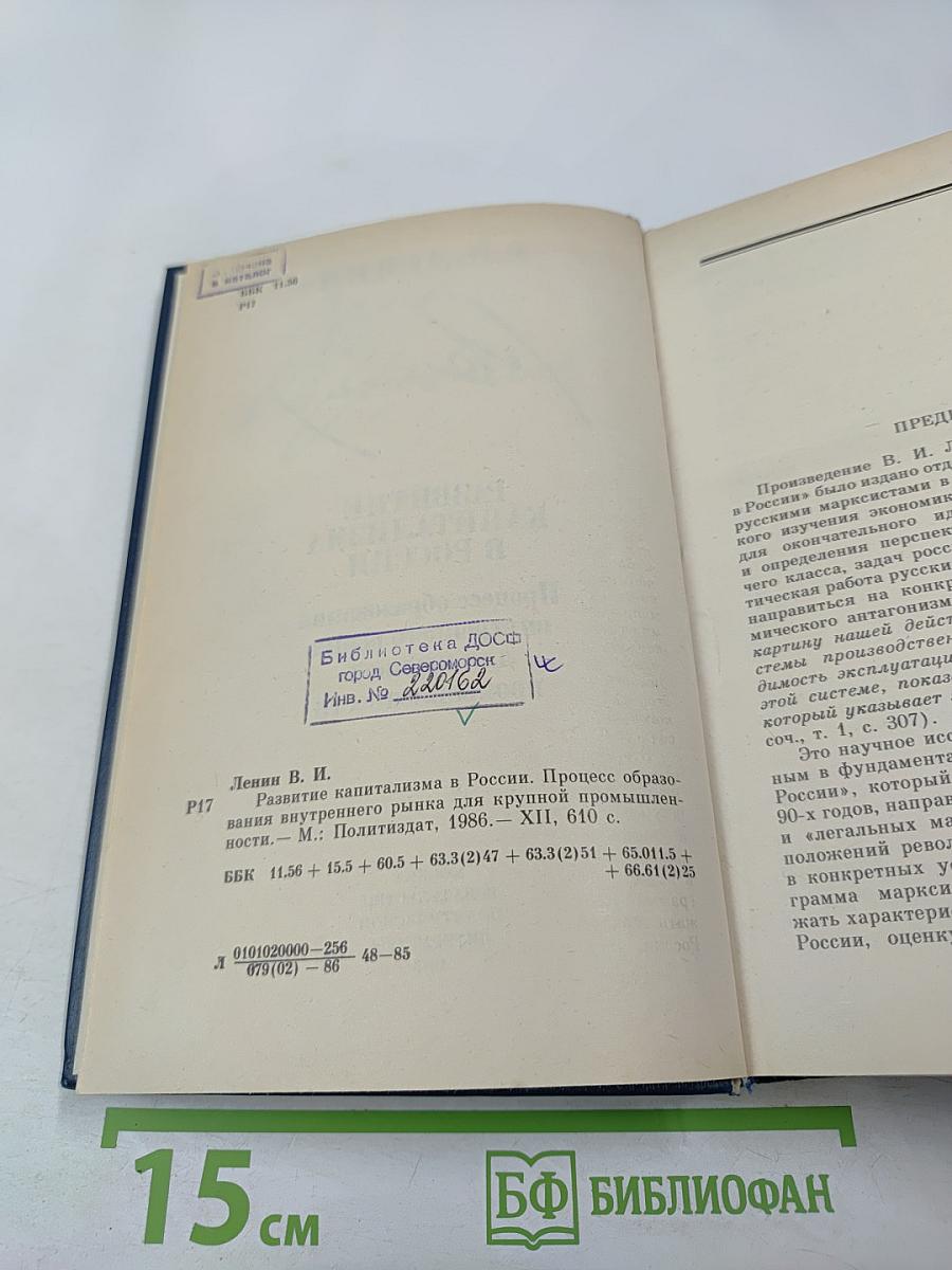 Развитие капитализма в России. Процесс образования внутреннего рынка для крупной промышленности