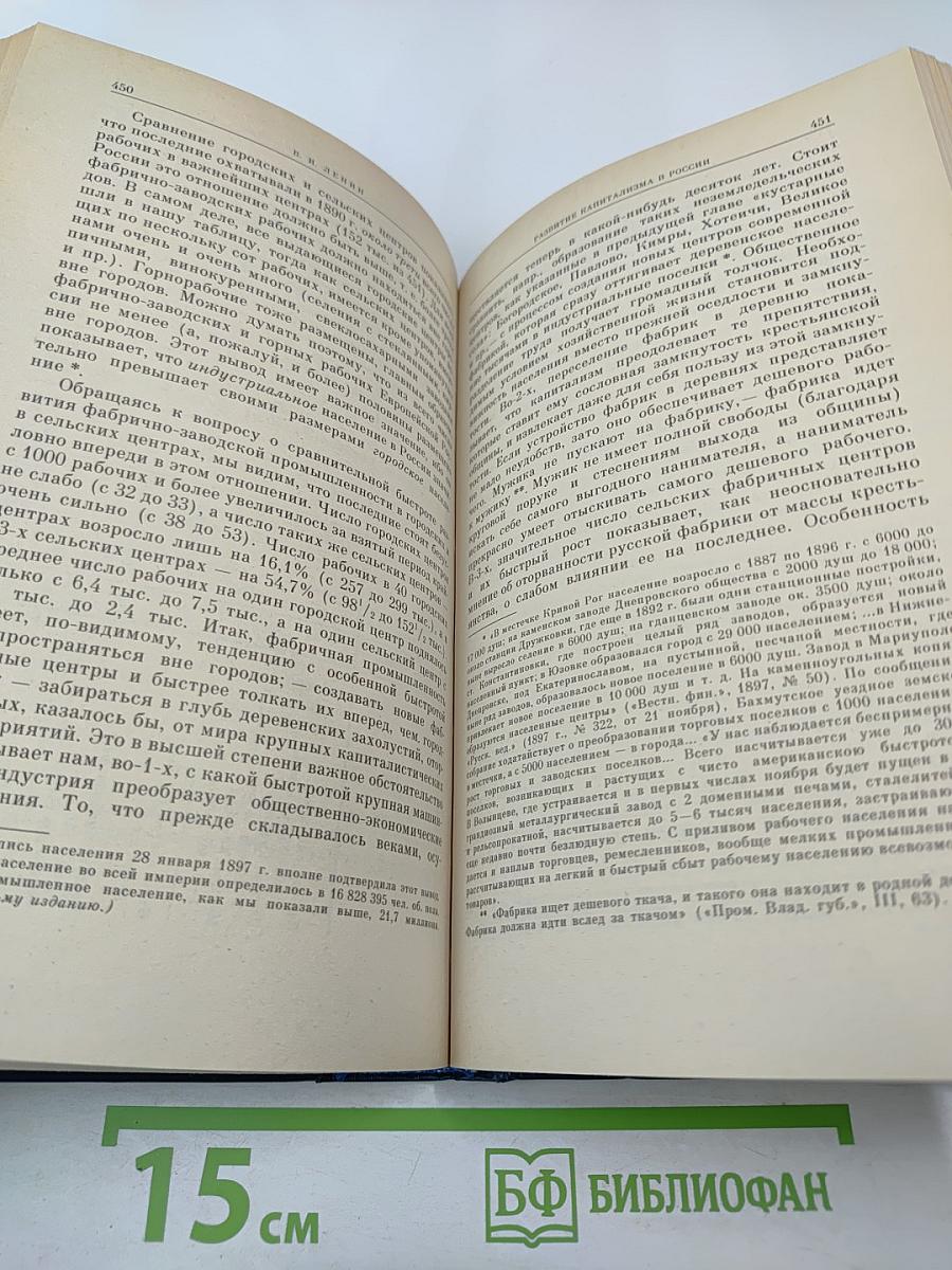 Развитие капитализма в России. Процесс образования внутреннего рынка для крупной промышленности