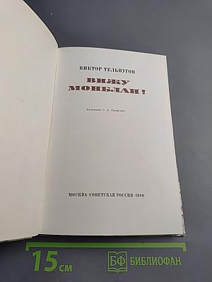 Вижу Монблан!