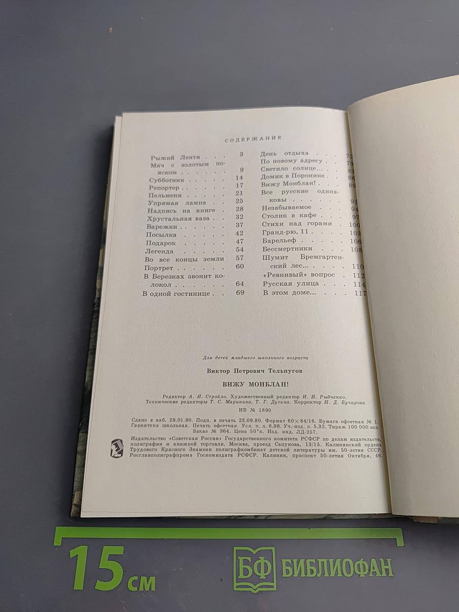 Вижу Монблан!