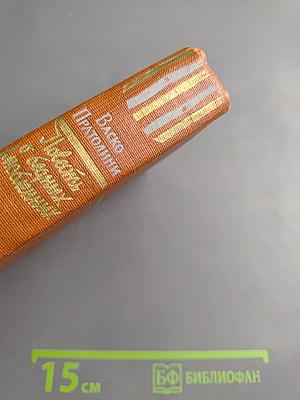 Повесть о бедных влюбленных