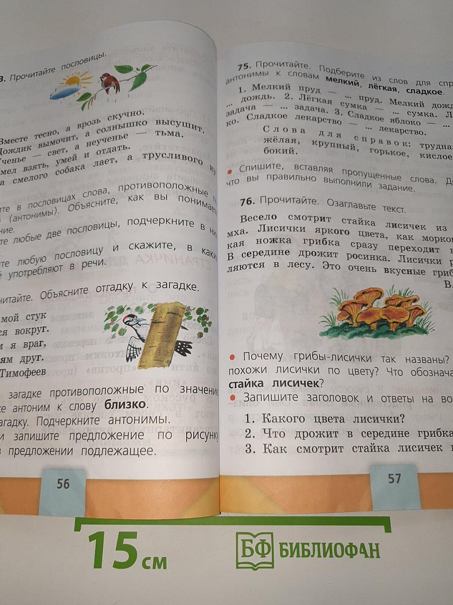 Русский язык