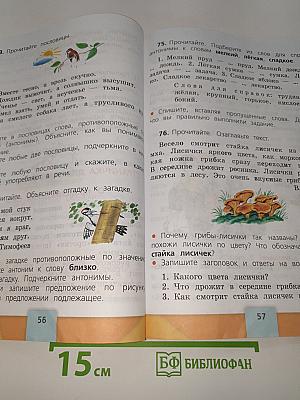 Русский язык