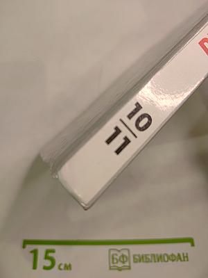 Русский язык. Грамматика. Текст. Стили речи. Учебник для 10-11 классов