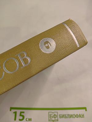 Собрание сочинений. Том шестой. Неоконченные романы и повести