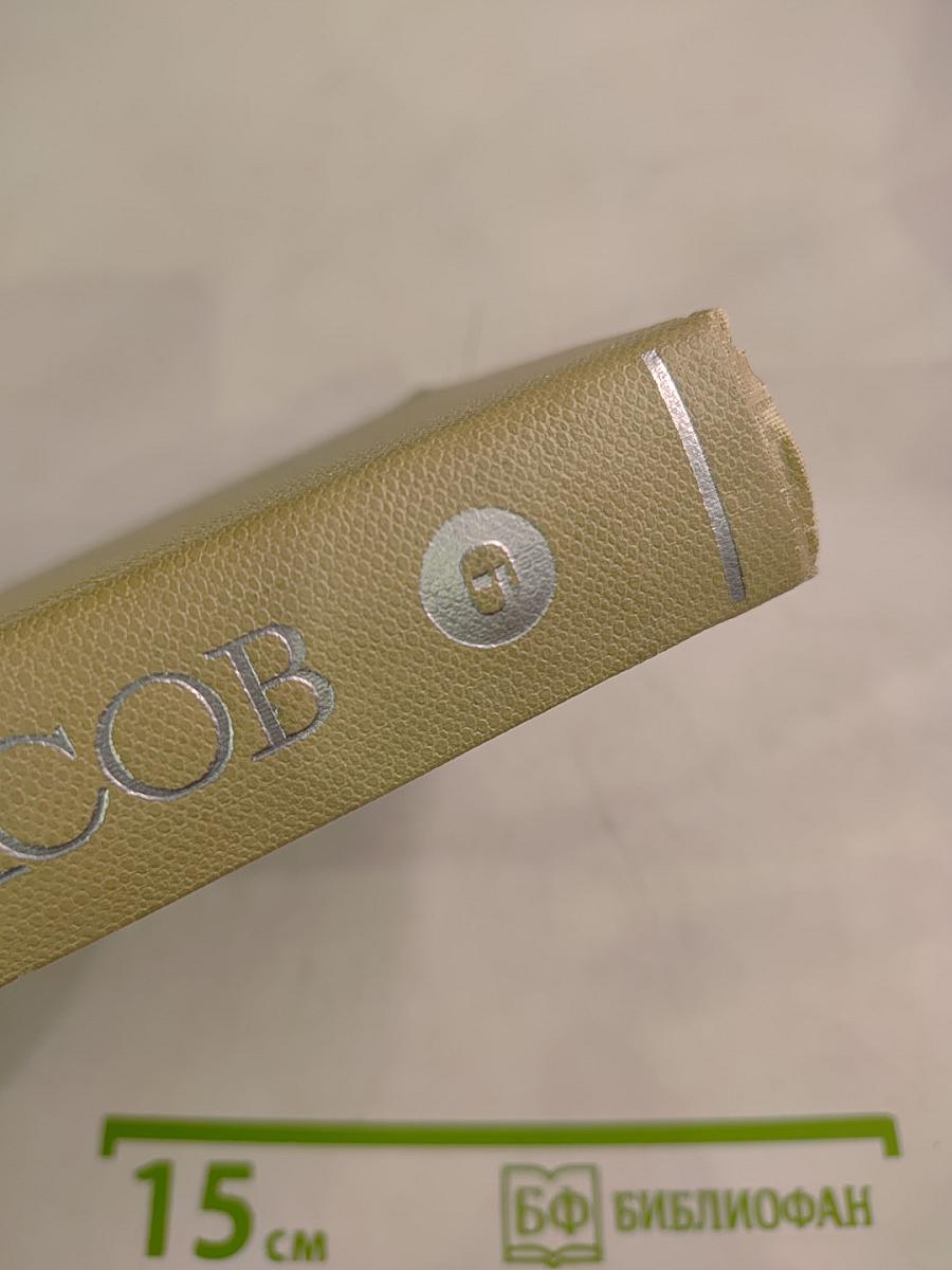 Собрание сочинений Н.А. Некрасова. Том шестой: Неоконченные романы и повести (1842-1856)