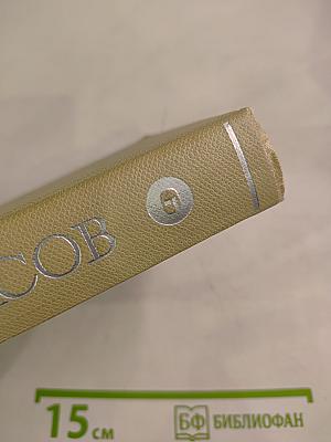 Собрание сочинений Н.А. Некрасова. Том шестой: Неоконченные романы и повести (1842-1856)