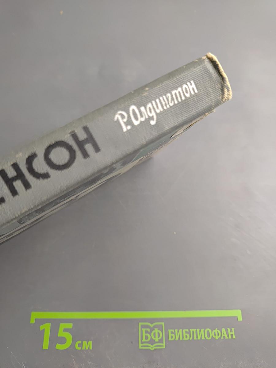 Стивенсон (Портрет бунтаря)