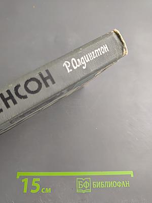 Стивенсон (Портрет бунтаря)