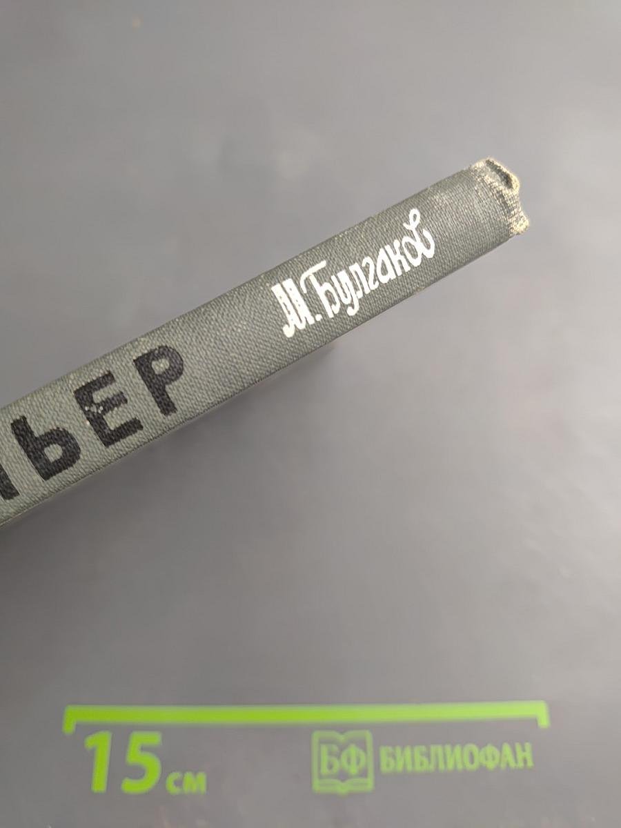 Жизнь господина де Мольера