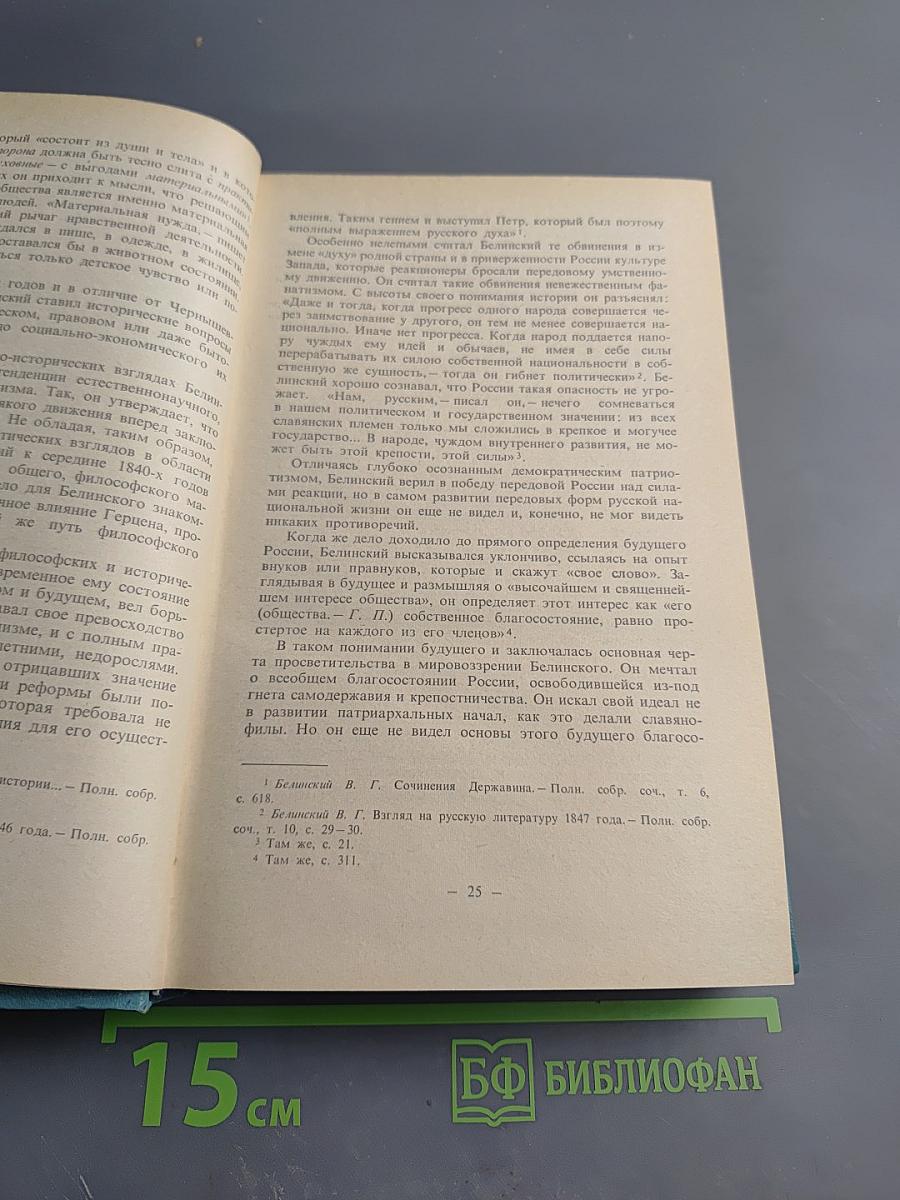История русской литературы XIX века (1840-1860-е годы)