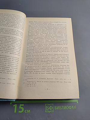 История русской литературы XIX века (1840-1860-е годы)