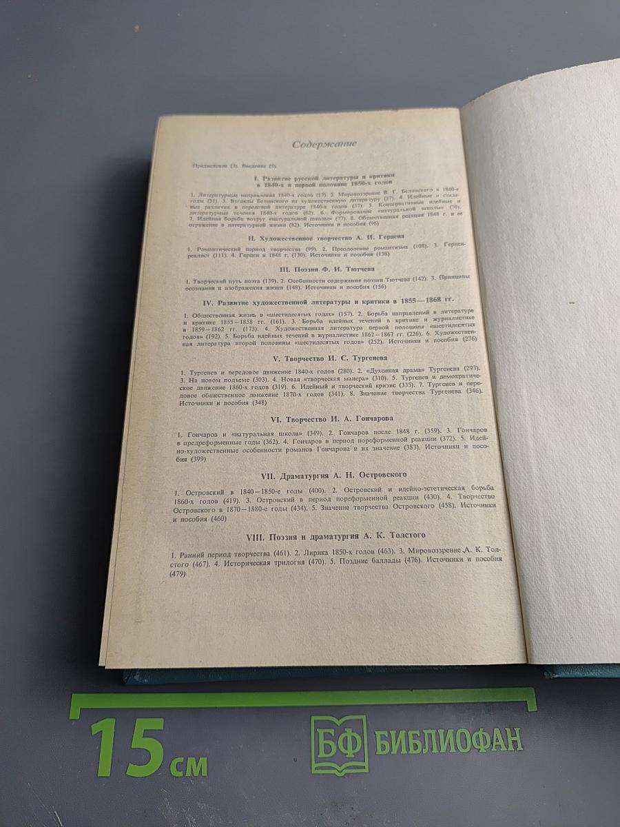 История русской литературы XIX века (1840-1860-е годы)