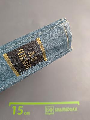 Полное собрание сочинений и писем А. П. Чехова. Сочинения. Том 2