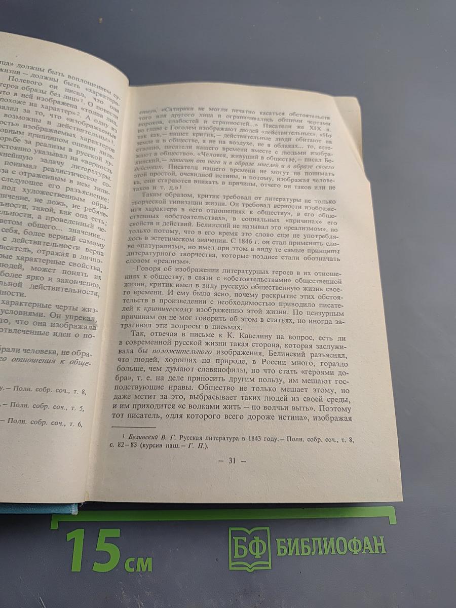 История русской литературы XIX века (1840-1860-е годы)