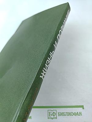 Жизнь и познание