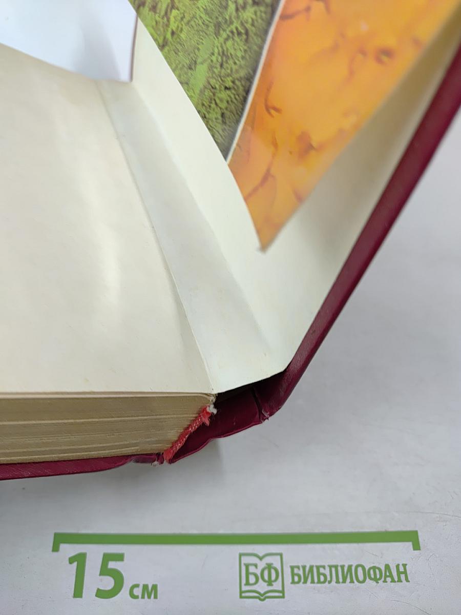 Катрин. Книга 3 и 4