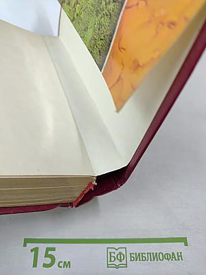 Катрин. Книга 3 и 4