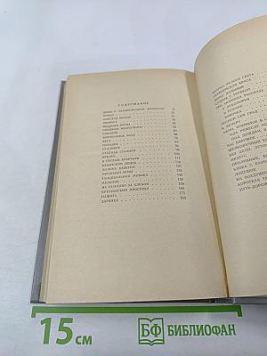 Окно, открытое в сад