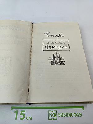 Черный консул