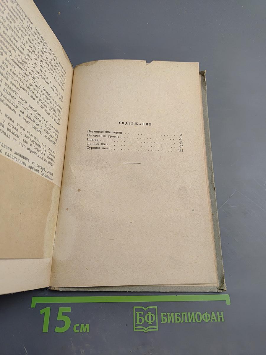 Суровое поле