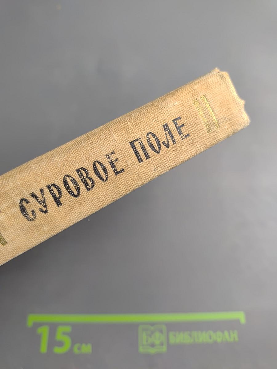 Суровое поле