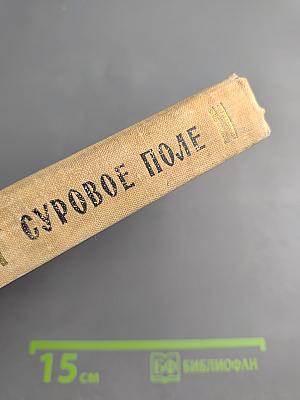 Суровое поле
