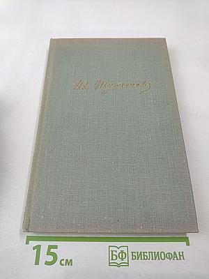 Собрание сочинений. Том девятый: Сцены и комедии 1843-1852