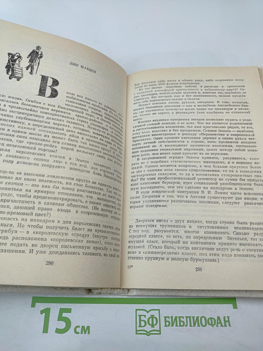 Сакура и дуб