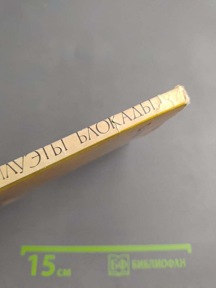 Силуэты блокады