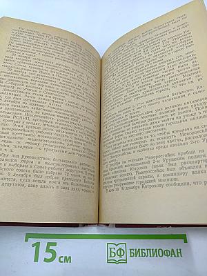 Революционное движение в русской армии в 1905-1907 гг.