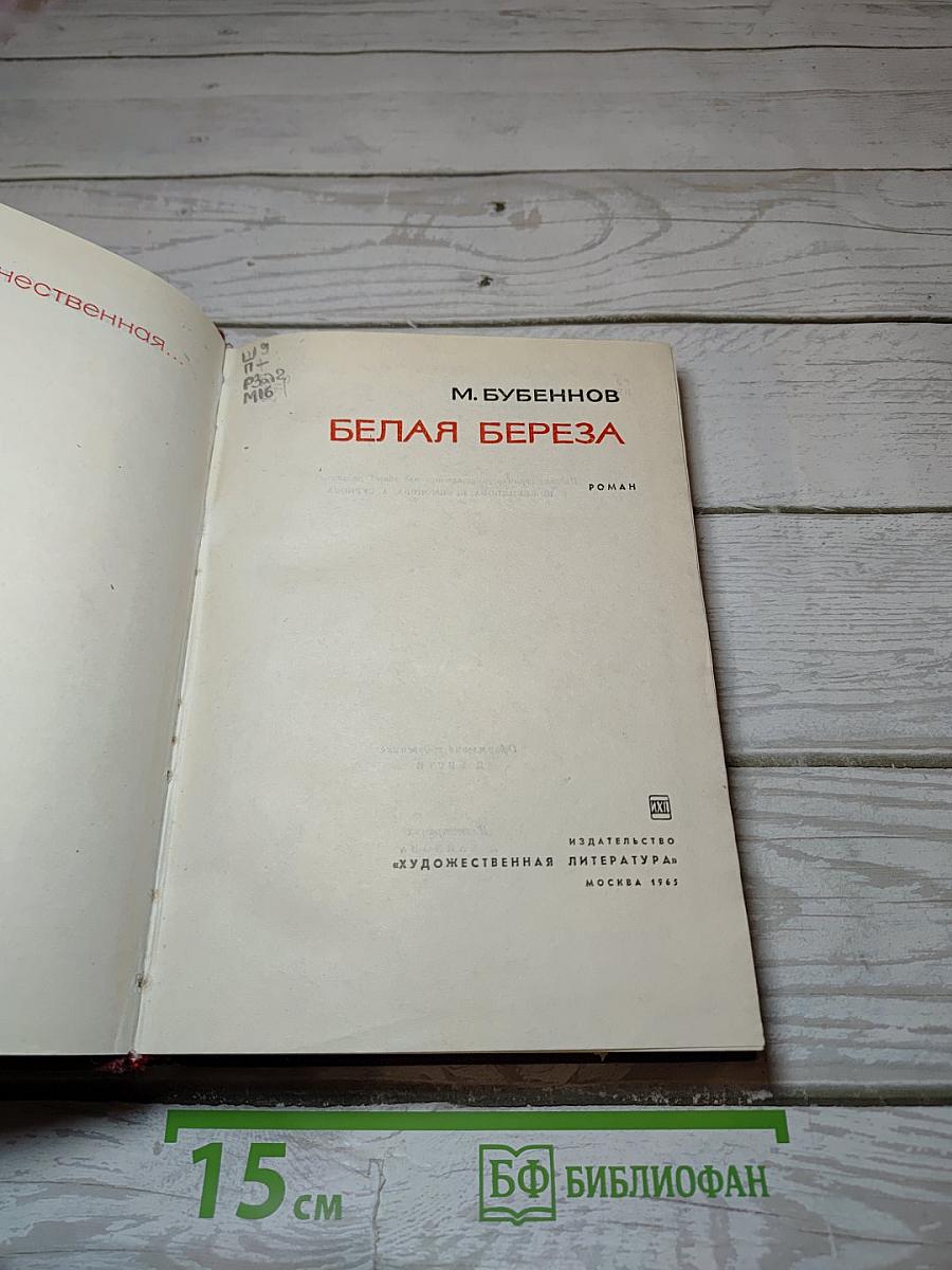 Белая береза