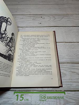 Белая береза