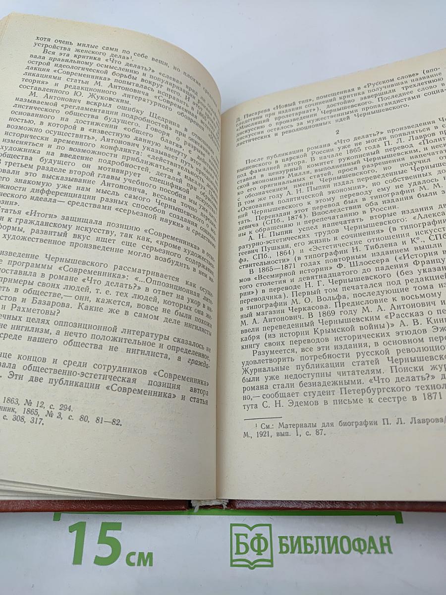 Н.Г. Чернышевский. Художественное творчество