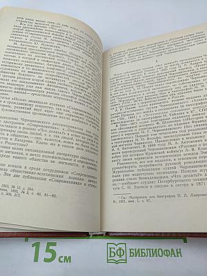 Н.Г. Чернышевский. Художественное творчество