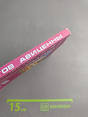 110 рецептов Авиценны