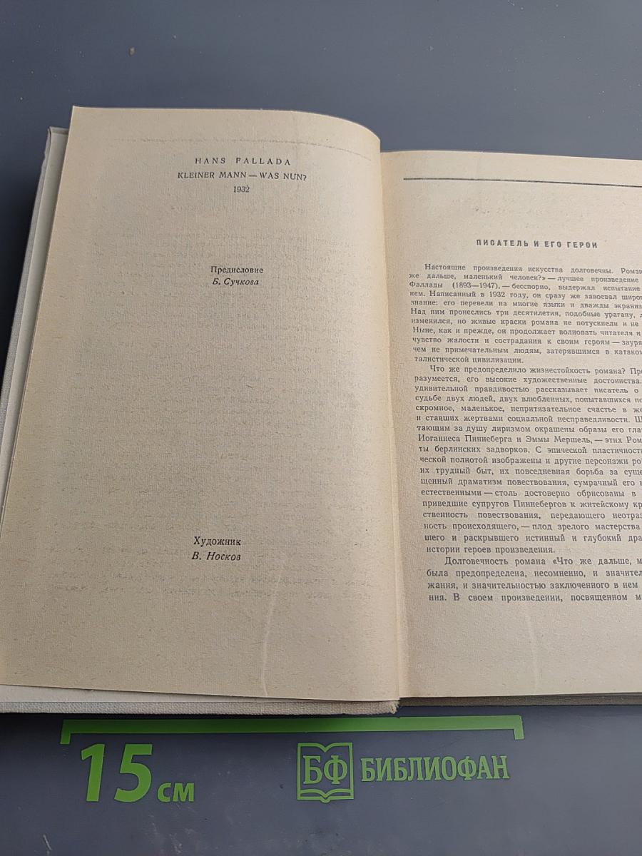 Что же дальше, маленький человек?