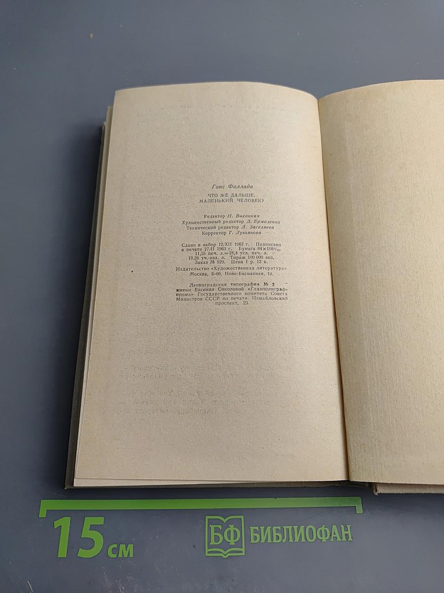 Что же дальше, маленький человек?