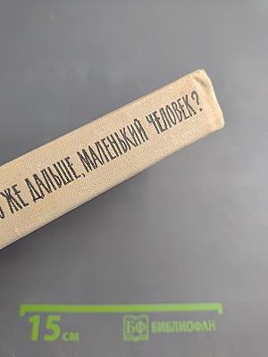 Что же дальше, маленький человек?