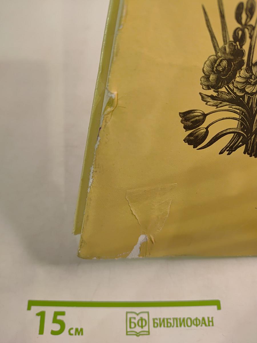 Слово о мудром мастере