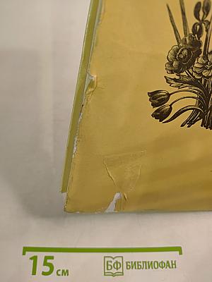 Слово о мудром мастере