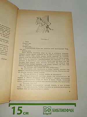 Приключения Тома Сойера; Принц и нищий