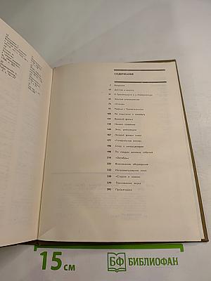Сергей Эйзенштейн. Замыслы. Фильмы. Мысли. Часть первая 1898-1929