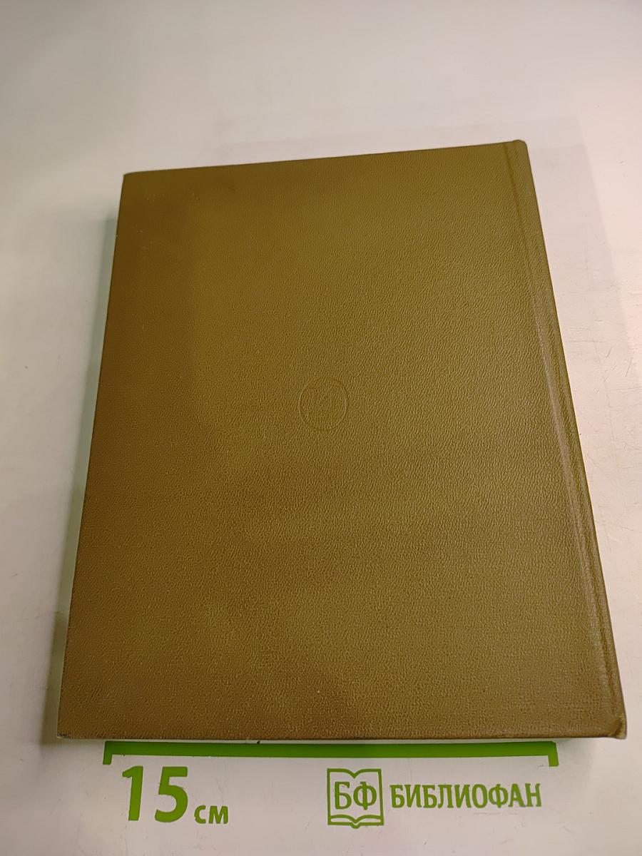 Сергей Эйзенштейн. Замыслы. Фильмы. Мысли. Часть первая 1898-1929