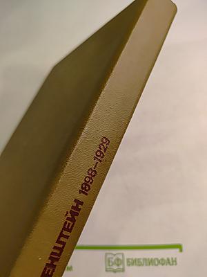 Сергей Эйзенштейн. Замыслы. Фильмы. Мысли. Часть первая 1898-1929