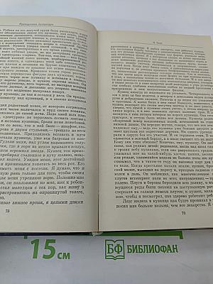 Зарубежная литература XX века. Хрестоматия 1871-1917