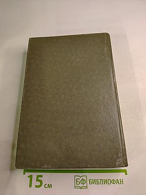 Белая церковь. Бремя нашей доброты