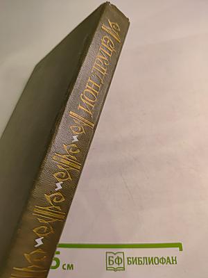 Белая церковь. Бремя нашей доброты